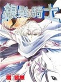 银发骑士海报