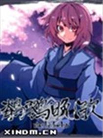 鹡鸰晩歌海报
