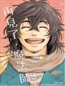 再见了，魔法师海报