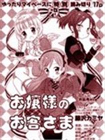 大小姐的客人们海报
