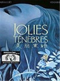 美丽黑暗海报