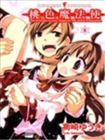 桃色魔法使海报