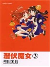 潜伏魔女海报