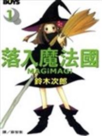 落入魔法国海报