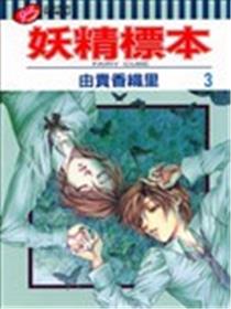 妖精标本海报