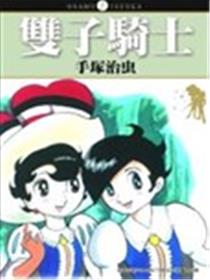 双子骑士海报