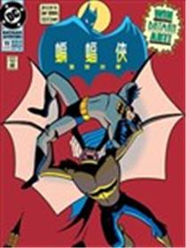 蝙蝠侠：冒险故事海报