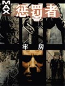 惩罚者：牢房海报