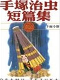 狮之书海报