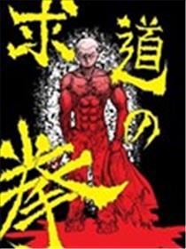求道之拳海报