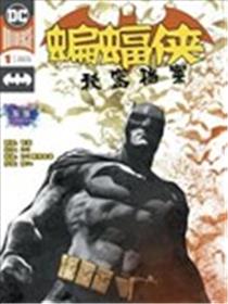 蝙蝠侠：秘密档案海报