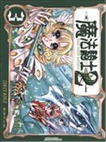 魔法骑士2海报