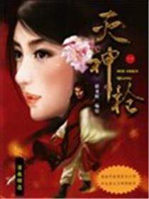 灭神枪海报
