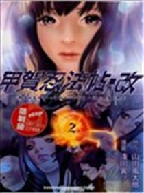 甲贺忍法帖·改海报