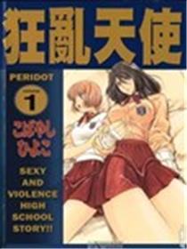 狂乱天使海报