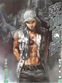乾坤奇侠海报
