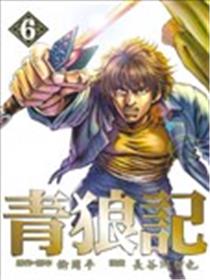 青狼记海报