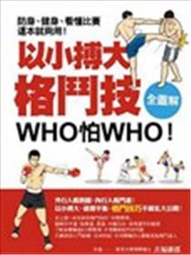 以小搏大格斗技海报