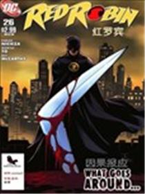 红罗宾海报