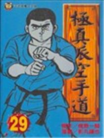 极真派空手道海报