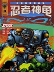 忍者神龟v2海报