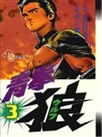 青拳狼海报
