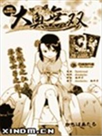 大奥无双海报