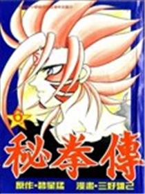 秘拳传海报