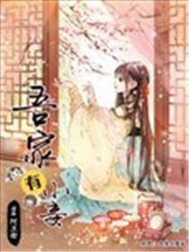 吾家有小妾海报