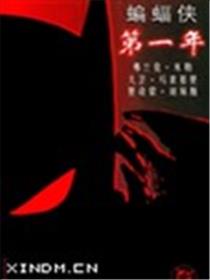 蝙蝠侠:第一年海报