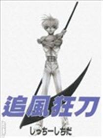 追风狂刀海报