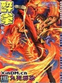 新著醉拳海报