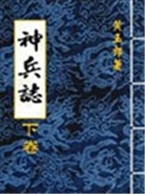 神兵志海报