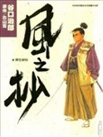 风之抄海报