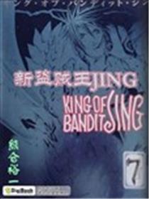 新盗贼王JING海报