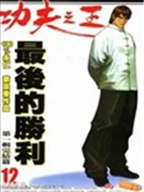 功夫之王海报