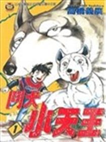 斗犬小天王海报