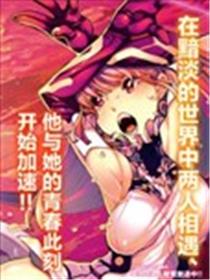 超时空要塞Δ外传海报