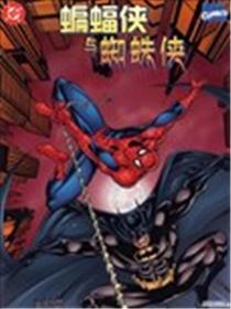 蝙蝠侠与蜘蛛侠：新时代降临海报