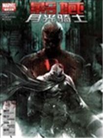 影域:月光骑士海报