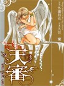 天审~WORLD WAR ANGEL~海报