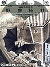蝙蝠侠异世界 野兽秘社海报