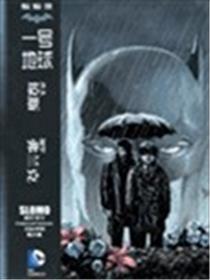 蝙蝠侠 一号地球海报