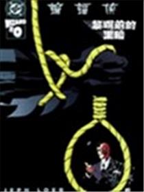 蝙蝠侠 黎明前的黑暗海报