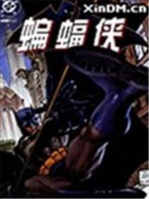 蝙蝠侠 寂静之战海报