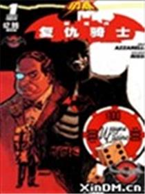闪点 蝙蝠侠复仇骑士海报