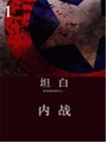 内战 坦白海报