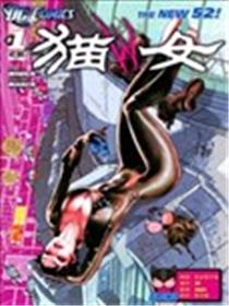 新52猫女海报