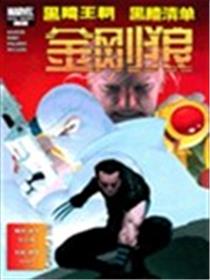 黑暗王朝:黑暗清单-金刚狼海报
