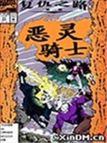 恶灵骑士 复仇之路海报
